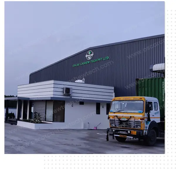 About Cashew Making Machine Manufacturer