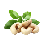 Cashew Processing Machinery